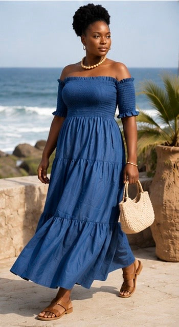 THE CHAMBRAY MAXI DRESS