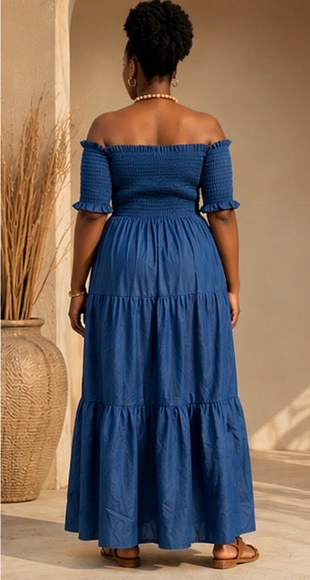 THE CHAMBRAY MAXI DRESS